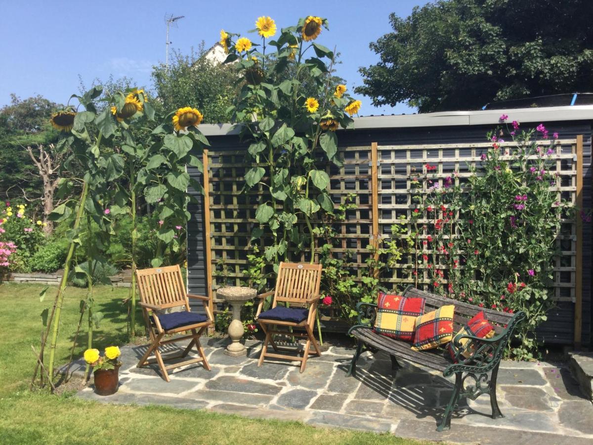 The White Cottage B&B Saint Teath エクステリア 写真