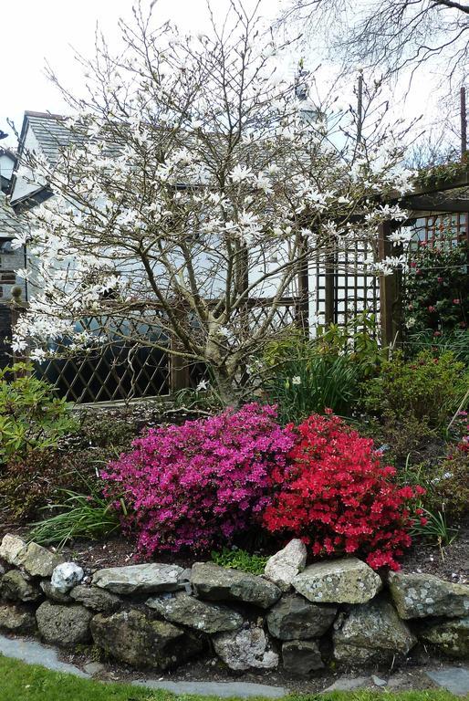 The White Cottage B&B Saint Teath エクステリア 写真
