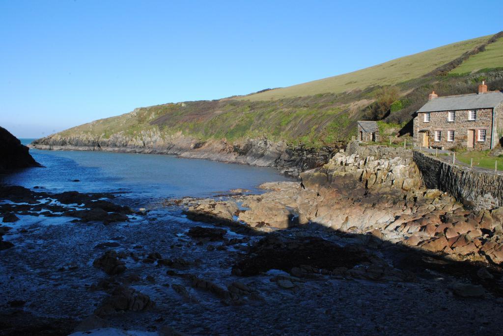 The White Cottage B&B Saint Teath エクステリア 写真